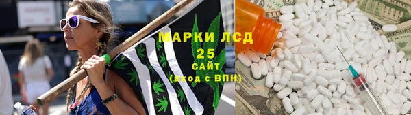 гашик Богородицк
