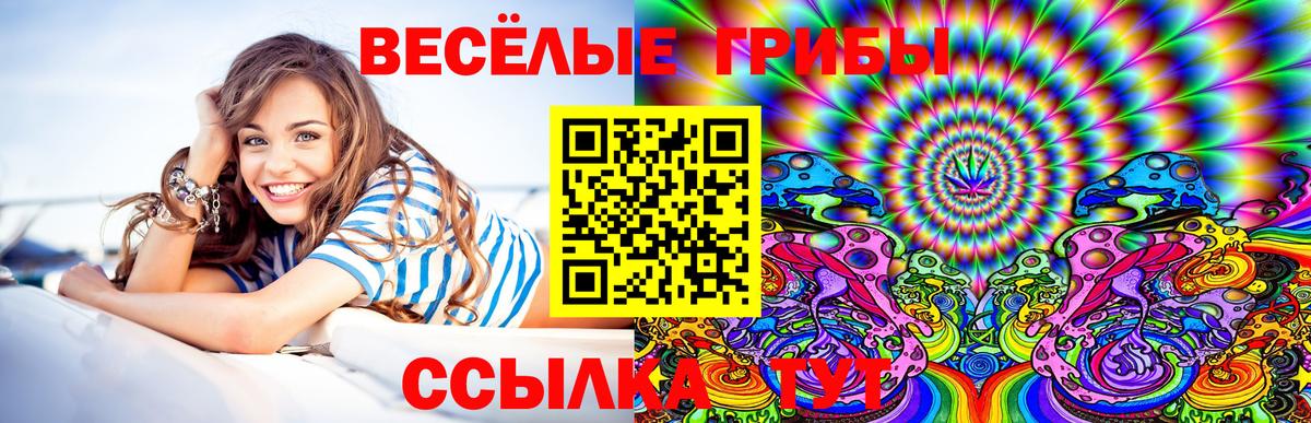 Псилоцибиновые грибы мухоморы Владикавказ